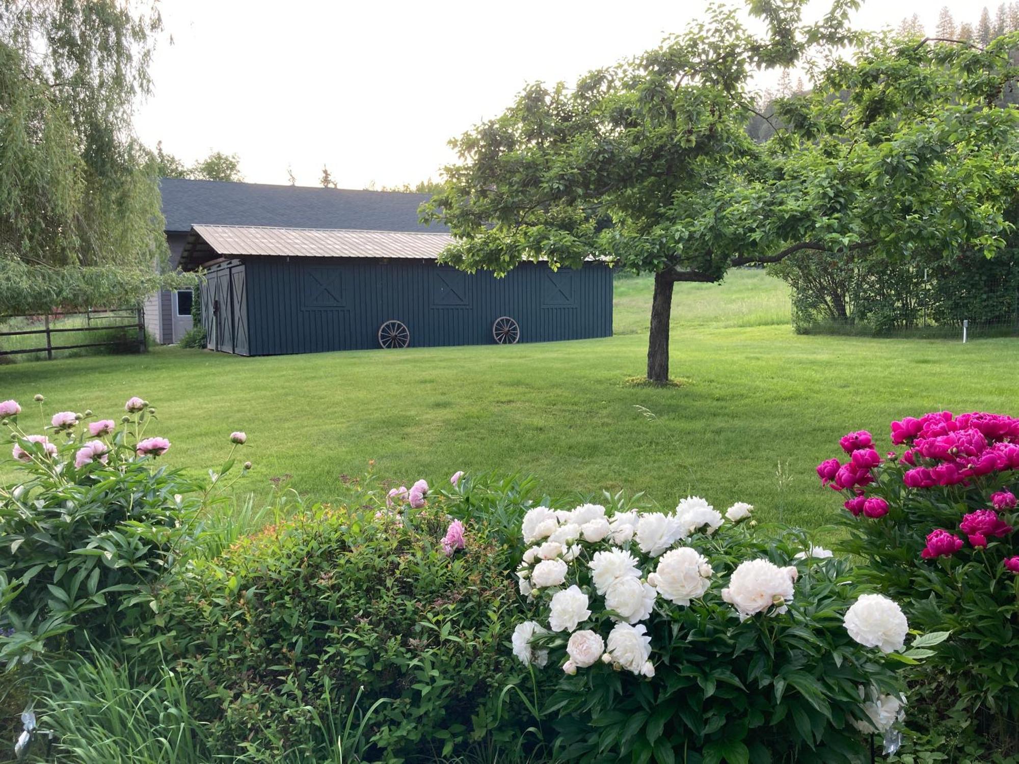 Hideaway Ranch Guest House โบนเนอร์สเฟอร์รี ภายนอก รูปภาพ